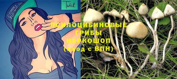 a pvp Коряжма
