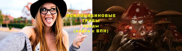 МДПВ Костерёво