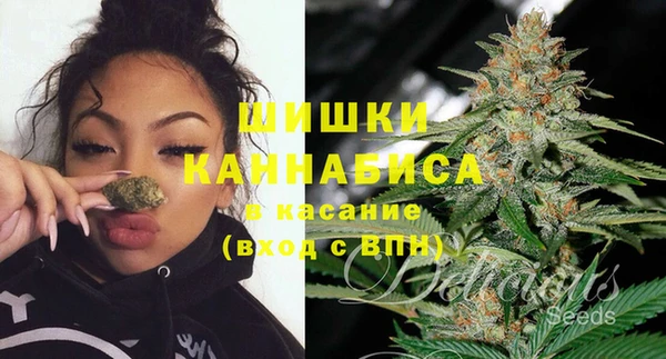 МДПВ Костерёво