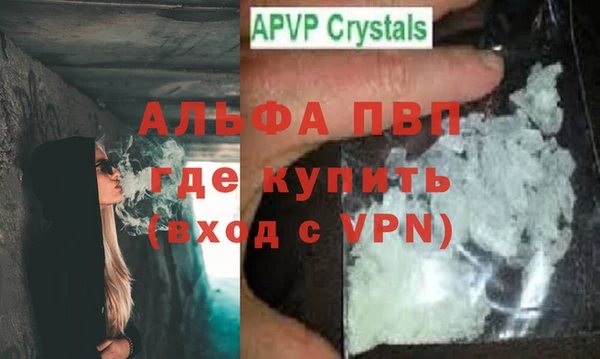 a pvp Коряжма