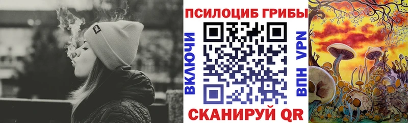 Псилоцибиновые грибы прущие грибы  Купить где  Ленск 